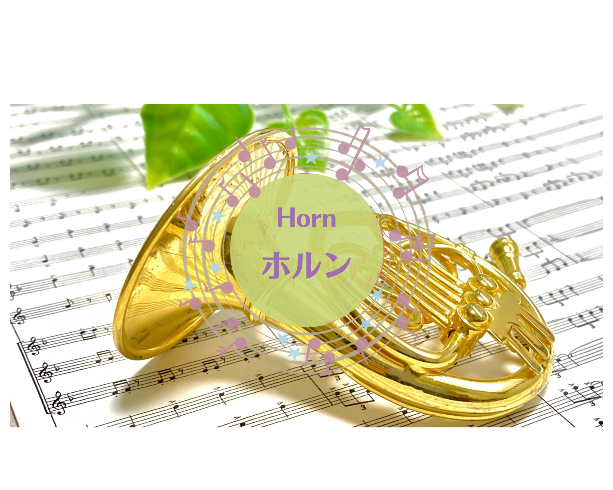 Horn